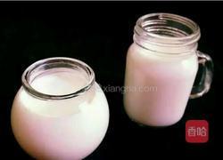 牛奶芒果布丁的做法图解8