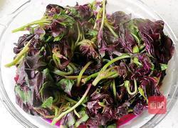 凉拌红苋菜的做法图解5