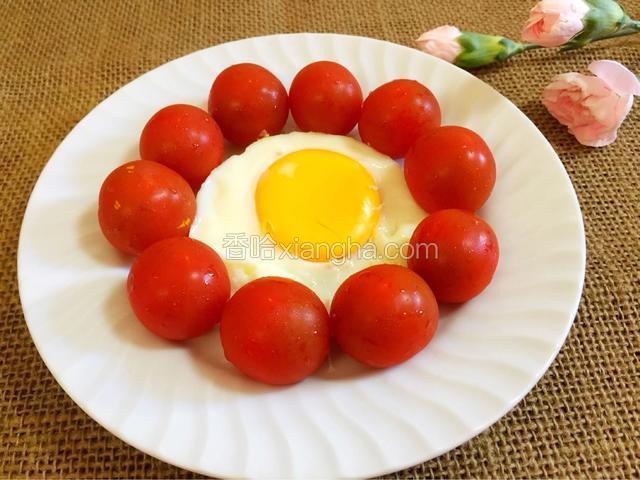 圣女果太阳花