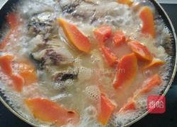 木瓜鲫鱼美容汤的做法图解9