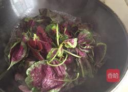 创意饺子的做法图解1