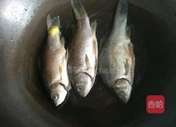 西红柿鲫鱼蘑菇汤的做法图解2