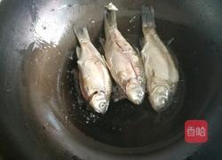 西红柿鲫鱼蘑菇汤的做法图解3