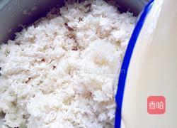 醪糟(糯米酒)的做法图解13