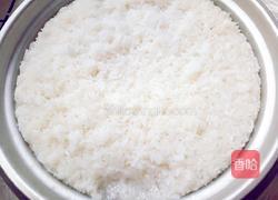 醪糟(糯米酒)的做法图解16