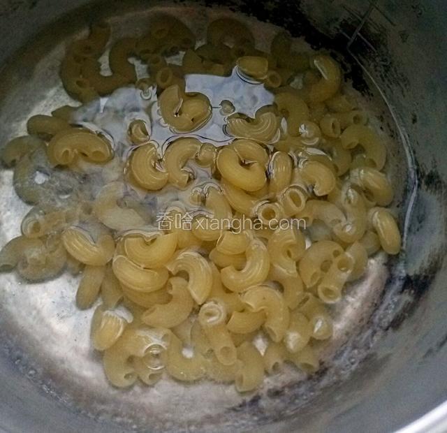 锅里倒入水煮开然后倒入通心粉煮八分钟
