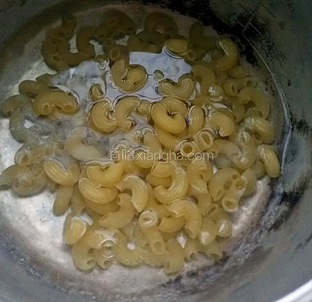 锅里倒入水煮开然后倒入通心粉煮八分钟