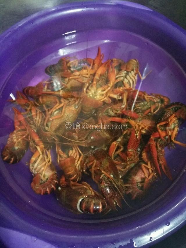 煮开水烫死后冷水泡上开始处理，如果不怕小龙虾的可以直接省略这一步