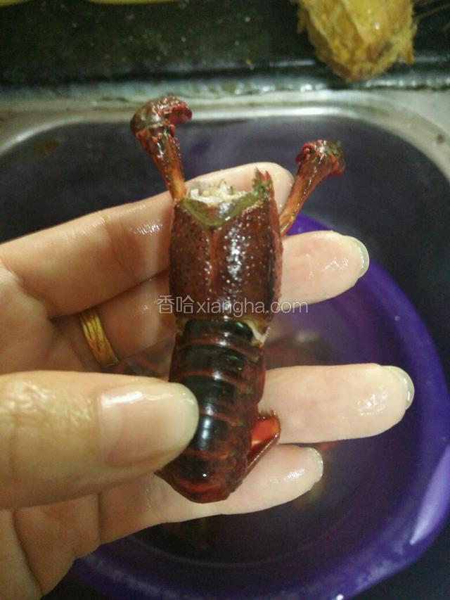 同时剪掉头部，放清水泡着