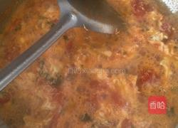 西红柿海参花汤的做法图解5