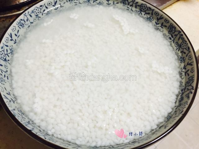糯米加水，浸泡一夜