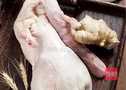 姜母鸭的做法图解2