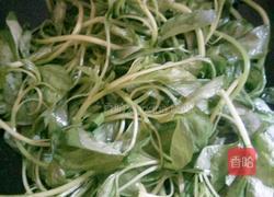 蒜蓉苋菜的做法图解4