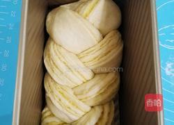 软噗噗的牛奶手撕椰蓉吐司的做法图解23