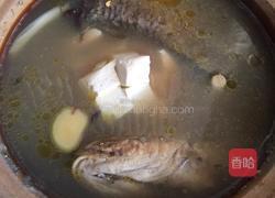 鲤鱼豆腐汤的做法图解5