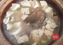 鲤鱼豆腐汤的做法图解6