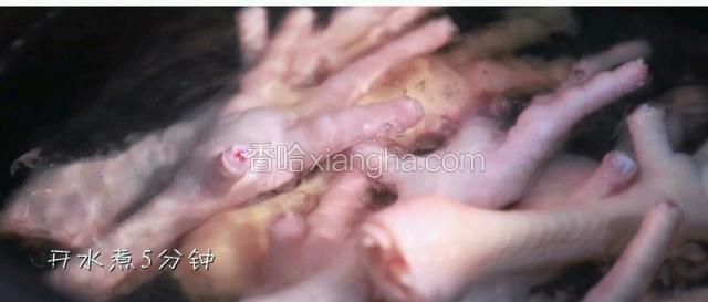 水烧开，凤爪入锅，开水煮5分钟。然后捞出放进冰水中浸泡下（为了使凤爪的口感更好）。