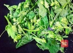 蒜香南瓜苗的做法图解5