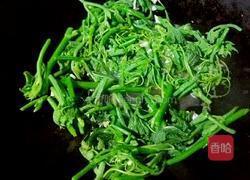 蒜香南瓜苗的做法图解8