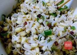 麻香绿豆芽的做法图解8