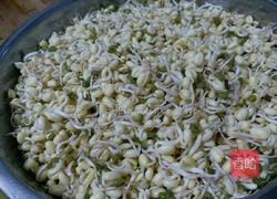 麻香绿豆芽的做法图解1