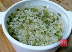 麻香绿豆芽的做法图解3