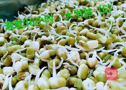 绿豆芽（自己泡发最健康）的做法图解9