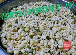绿豆芽（自己泡发最健康）的做法图解12