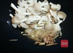 白油平菇肉末的做法图解3