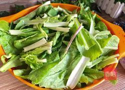 农家白菜的做法图解1