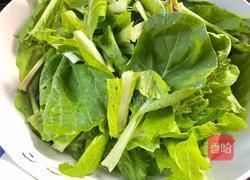 农家白菜的做法图解4