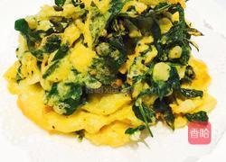 炸花椒芽的做法图解6