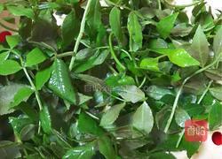 炸花椒芽的做法图解1