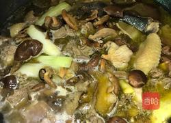 野生菌烧鸡的做法图解8