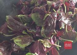 牛肉蔬汁面的做法图解1