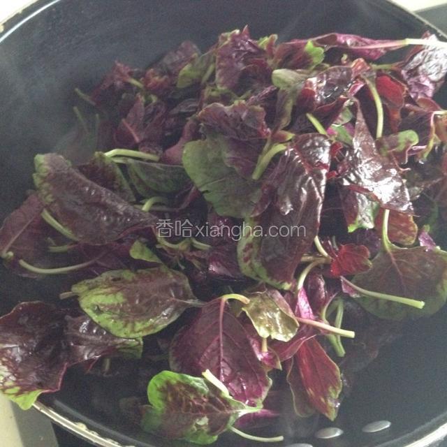 红苋菜洗净，锅里加少量清水，把红苋菜放进去煮出颜色