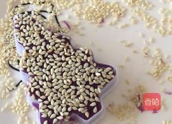 烤紫薯饼的做法图解5