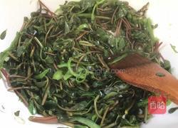 青椒炒马齿苋的做法图解10