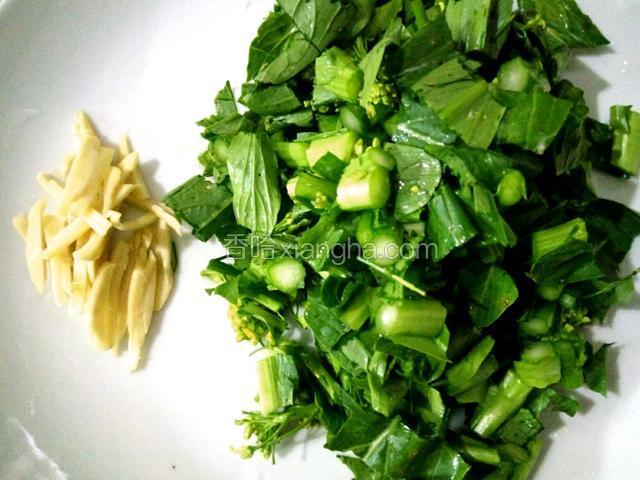 菜心摘掉老梗、挑出烂叶、清洗干净、切粒、姜去皮清洗干净切丝