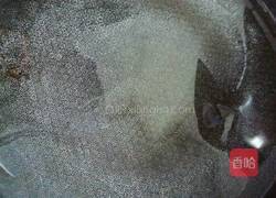 电饼铛 锅贴的做法图解9