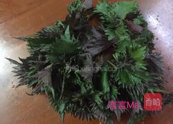 紫苏炒豆角的做法图解3