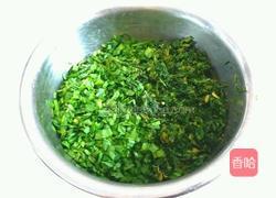 荠菜韭菜猪肉馅的做法图解2