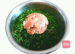 荠菜韭菜猪肉馅的做法图解4