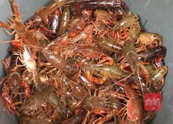 家常小龙虾的做法图解1