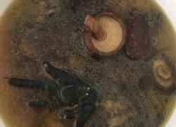 乌鸡香菇汤