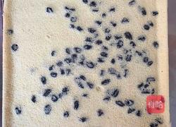 葡萄干蛋糕卷的做法图解17