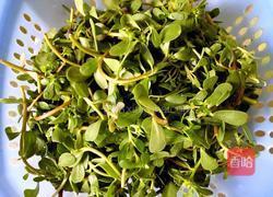 蒜蓉炒马齿苋的做法图解2