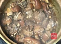 砂锅【花生炖猪脚】的做法图解4
