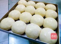 椰香小餐包的做法图解11