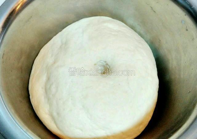 发酵程序结束后，面团发到原来的两倍大，用手指沾水，在面团上扎个洞。如果手指洞，不回缩，面就发好了。